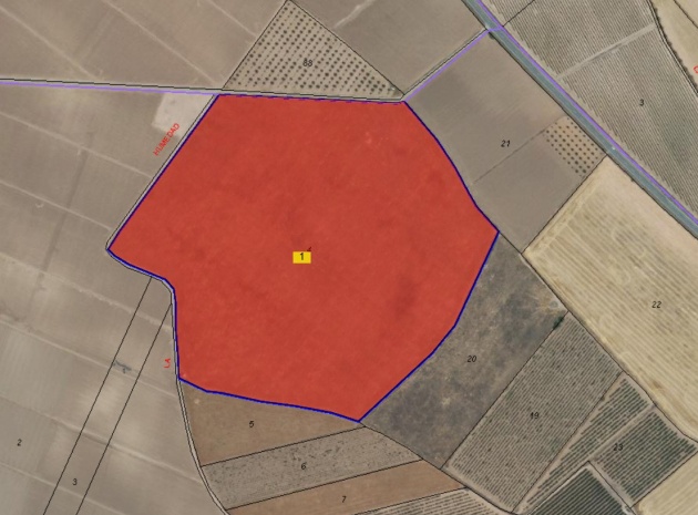 Land - Resale - Yecla - Yecla Centro