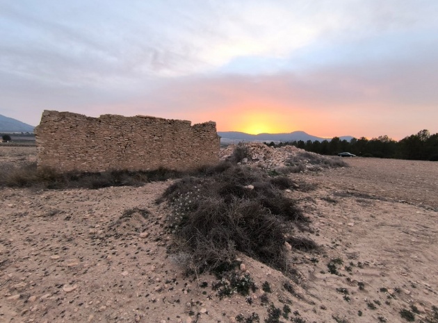 Land - Resale - Yecla - Yecla Centro