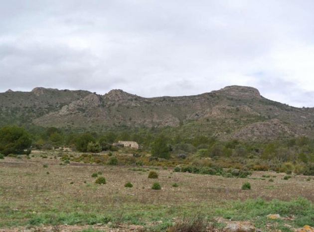 Land - Resale - Yecla - Yecla Centro