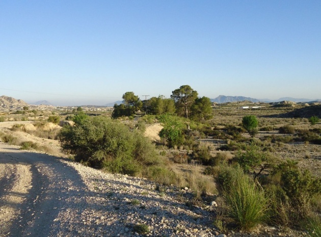 Land - Wederverkoop - Abanilla - Abanilla Centro