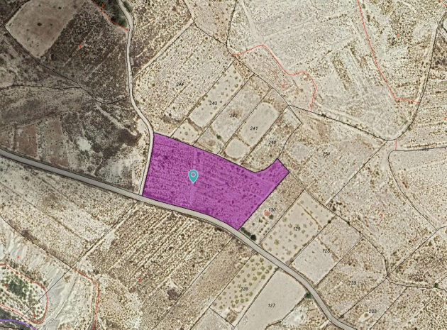 Land - Wederverkoop - Abanilla - Abanilla Centro