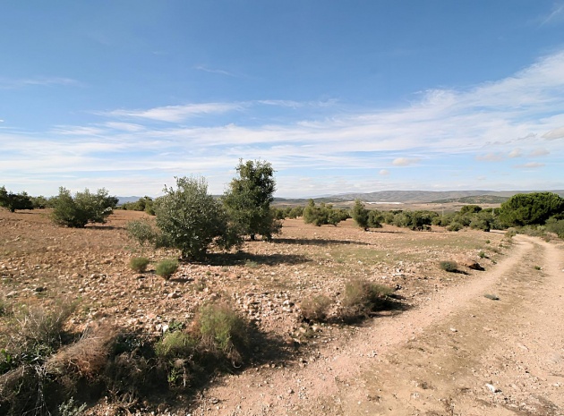 Land - Wederverkoop - Biar - Biar Centro