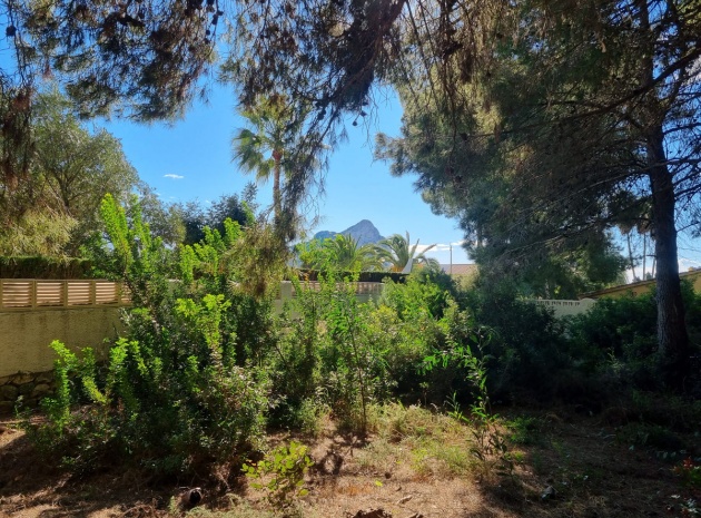 Land - Wederverkoop - Calpe - Calpe Centro