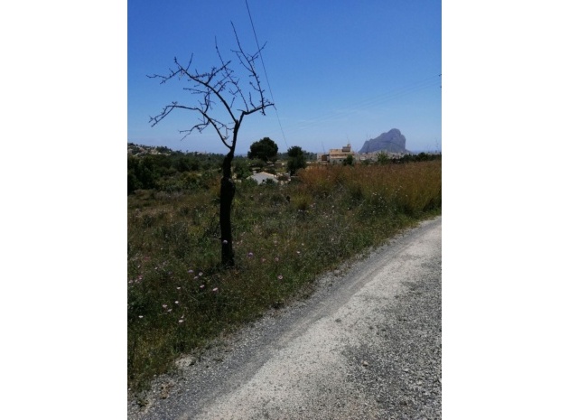 Land - Wederverkoop - Calpe - Calpe Centro