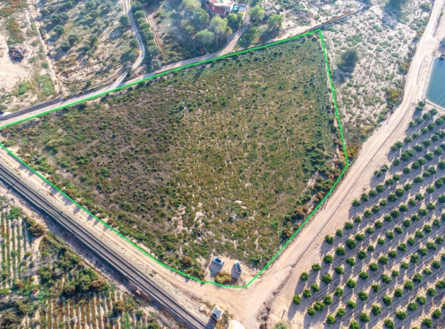 Land - Wederverkoop - Crevillente - Crevillent - Crevillente - Crevillent Centro