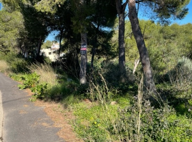 Land - Wederverkoop - Jávea - Xàbia - Jávea - Xàbia Centro