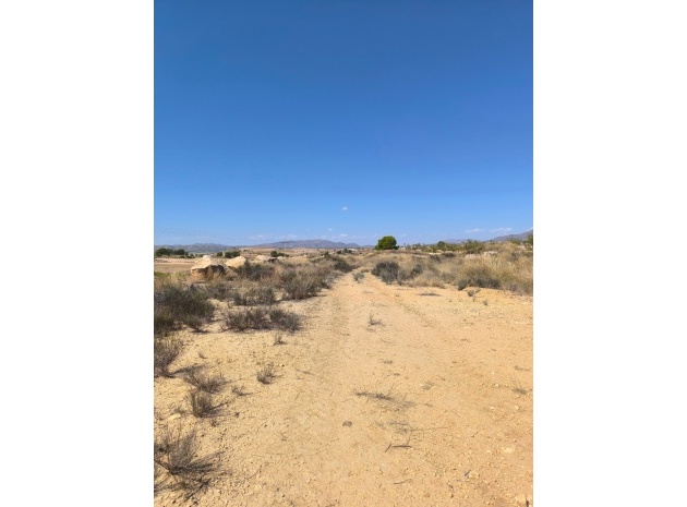 Land - Wederverkoop - Jumilla - Jumilla Centro