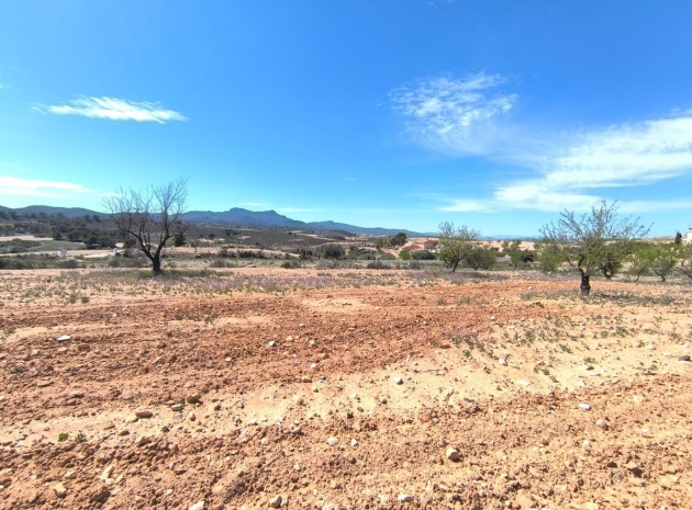 Land - Wederverkoop - Jumilla - Jumilla Centro