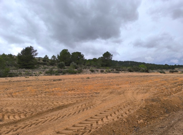 Land - Wederverkoop - Monóvar - Monòver - Chinorlet