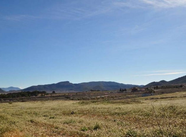 Land - Wederverkoop - Monóvar - Monòver - Chinorlet