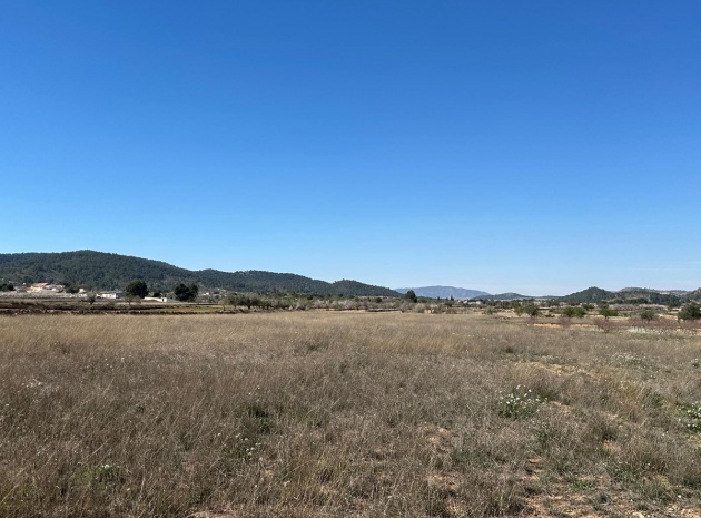 Land - Wederverkoop - Monóvar - Monòver - Monóvar - Monòver Centro