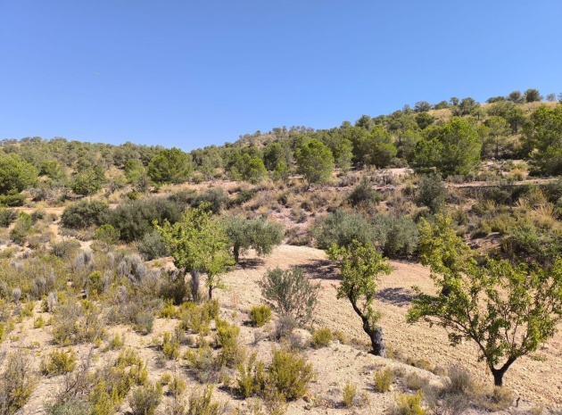 Land - Wederverkoop - Monóvar - Monòver - Monóvar - Monòver Centro