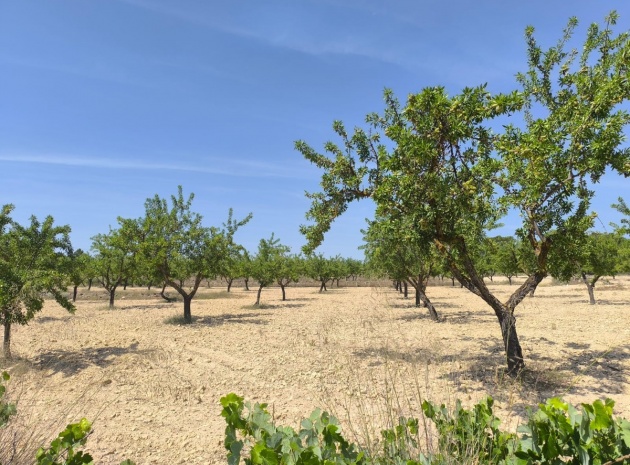 Land - Wederverkoop - Monóvar - Monòver - Monóvar - Monòver Centro