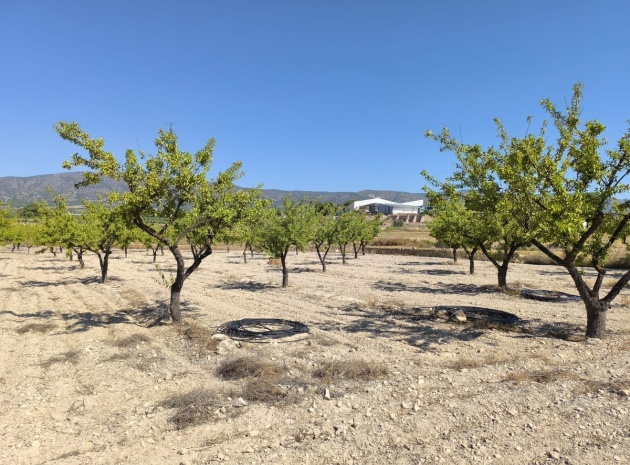 Land - Wederverkoop - Monóvar - Monòver - Monóvar - Monòver Centro