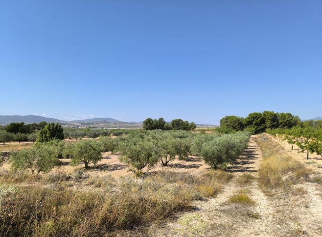 Land - Wederverkoop - Monóvar - Monòver - Monóvar - Monòver Centro