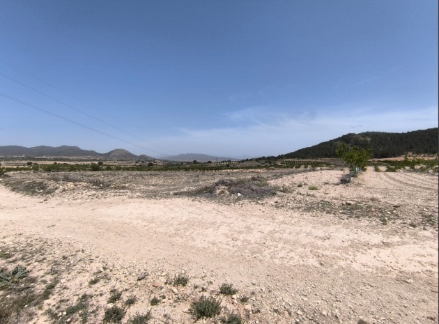 Land - Wederverkoop - Monóvar - Monòver - Monóvar - Monòver Centro