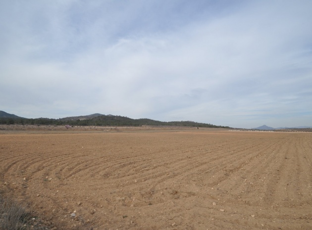 Land - Wederverkoop - Monóvar - Monòver - Monóvar - Monòver Centro