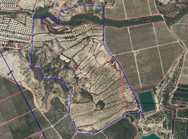 Land - Wederverkoop - Orihuela - Torremendo
