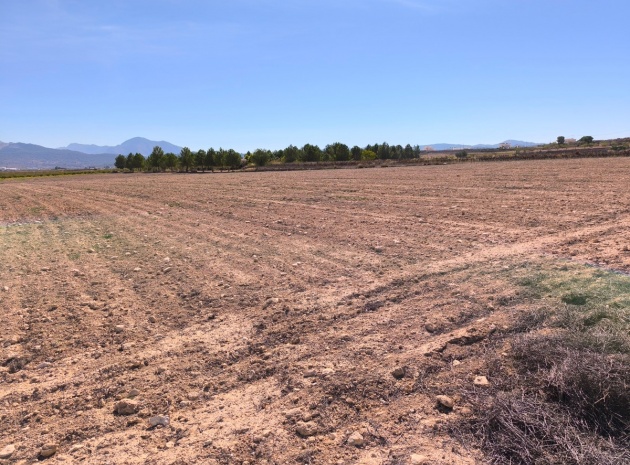 Land - Wederverkoop - Pinoso - Pinoso Centro