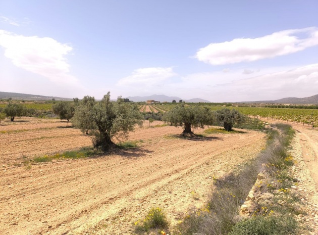 Land - Wederverkoop - Pinoso - Pinoso Centro