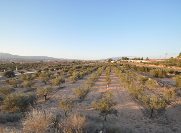 Land - Wederverkoop - Pinoso - Pinoso Centro