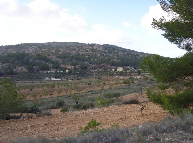 Land - Wederverkoop - Pinoso - Pinoso Centro