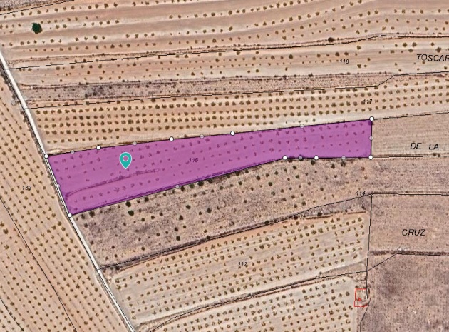 Land - Wederverkoop - Pinoso - Pinoso Centro