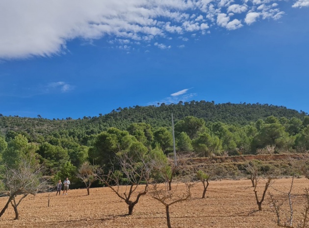 Land - Wederverkoop - Pinoso - Pinoso Centro