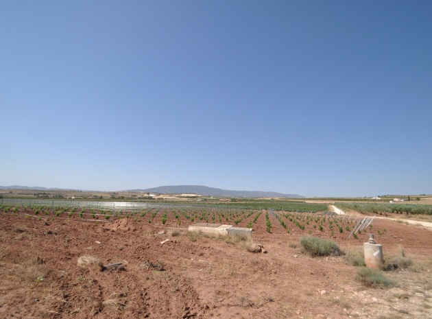 Land - Wederverkoop - Pinoso - Pinoso Centro