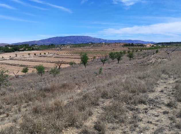 Land - Wederverkoop - Pinoso - Pinoso Centro