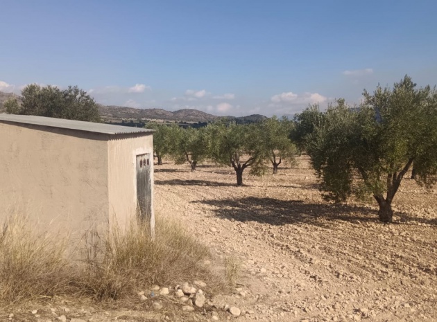 Land - Wederverkoop - Salinas - Salinas Centro