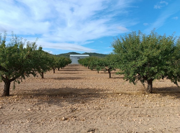 Land - Wederverkoop - Yecla - Yecla Centro