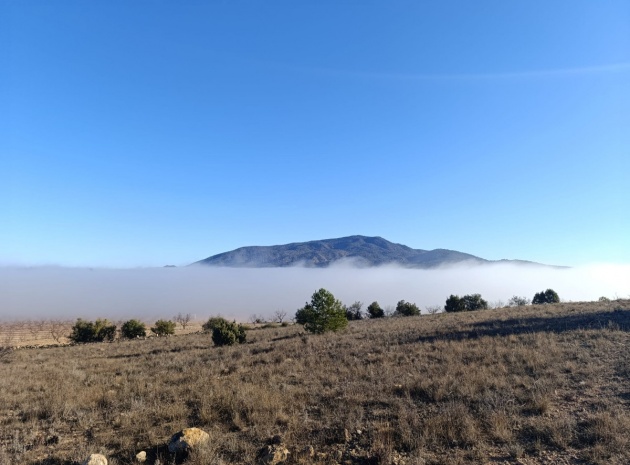 Land - Wederverkoop - Yecla - Yecla Centro