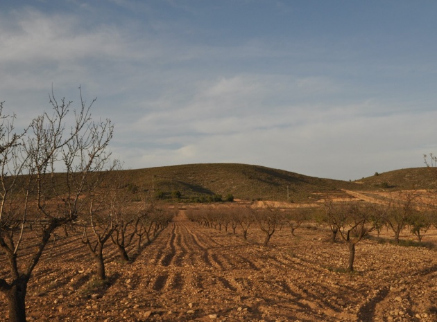 Land - Wiederverkauf - Abanilla - Abanilla Centro
