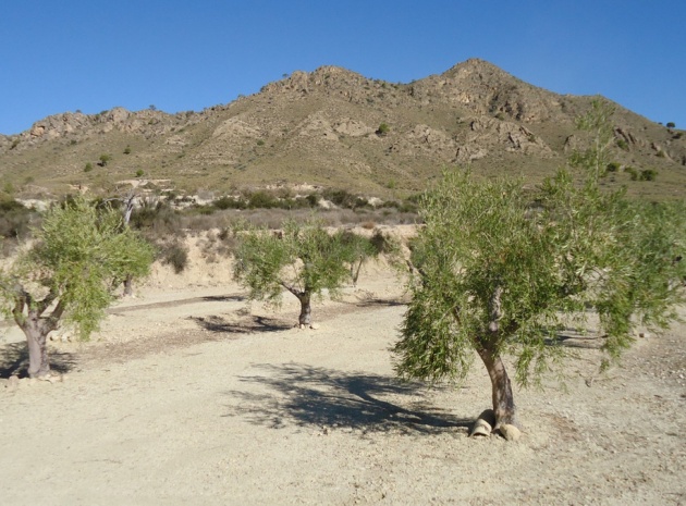 Land - Wiederverkauf - Abanilla - Abanilla Centro