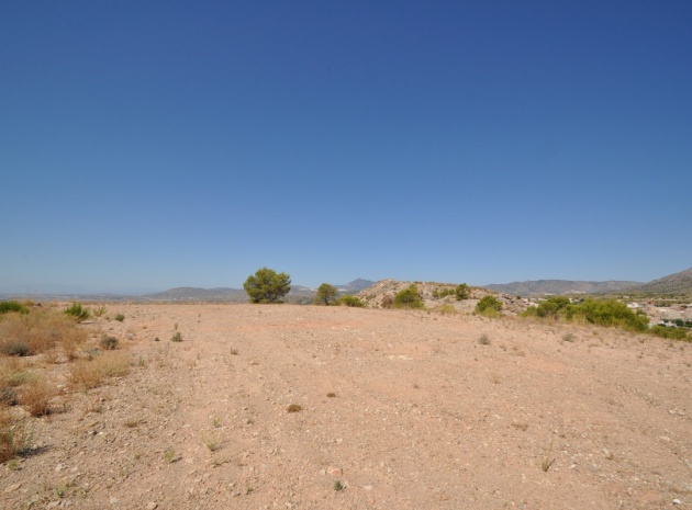 Land - Wiederverkauf - Abanilla - Macisvenda