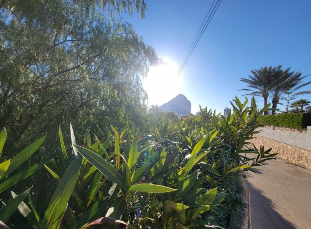 Land - Wiederverkauf - Calpe - Calpe Centro