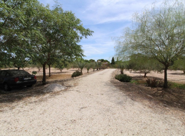 Land - Wiederverkauf - Elche - Elche Centro