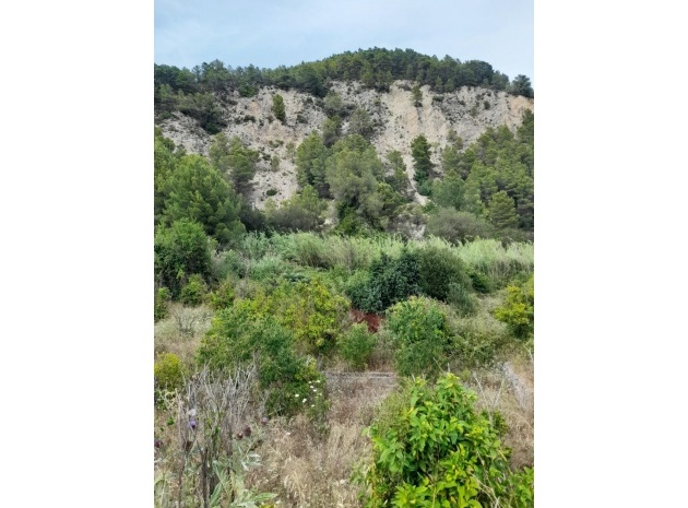 Land - Wiederverkauf - Guadalest - Guadalest Centro
