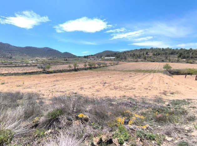 Land - Wiederverkauf - Jumilla - La Zarza