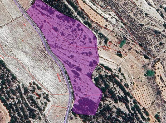 Land - Wiederverkauf - Monóvar - Monòver - Monóvar - Monòver Centro