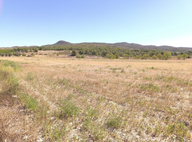 Land - Wiederverkauf - Monóvar - Monòver - Monóvar - Monòver Centro