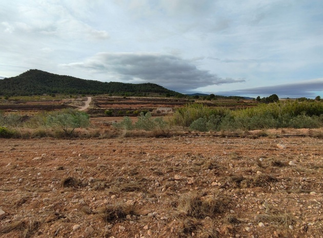 Land - Wiederverkauf - Monóvar - Monòver - Monóvar - Monòver Centro