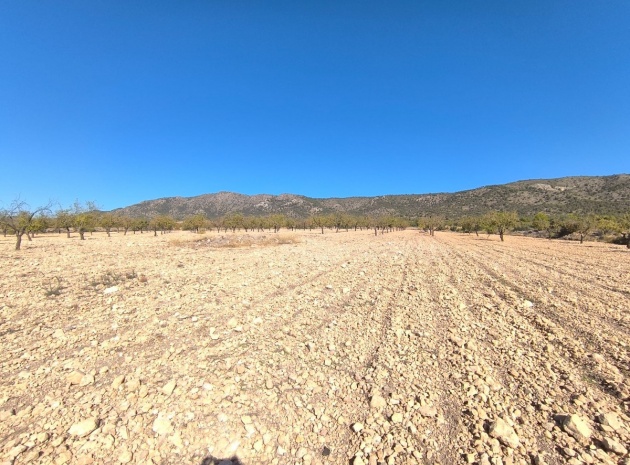 Land - Wiederverkauf - Monóvar - Monòver - Monóvar - Monòver Centro