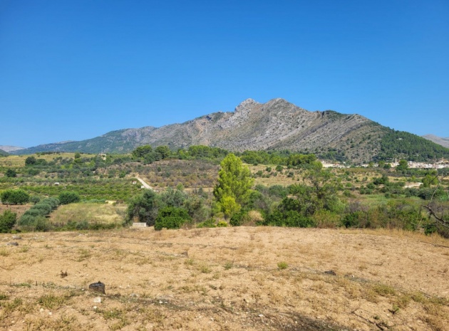 Land - Wiederverkauf - Parcent - Parcent