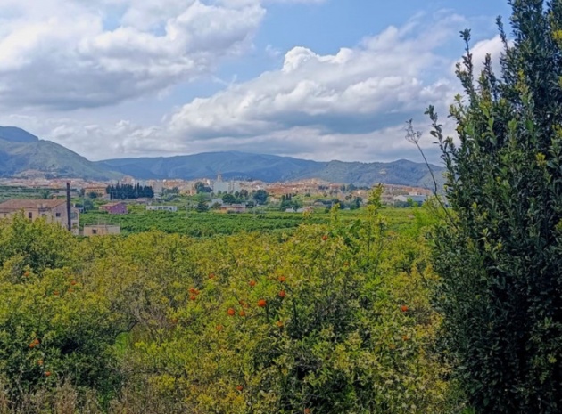 Land - Wiederverkauf - Pego - Pego Centro