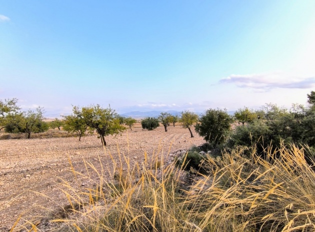 Land - Wiederverkauf - Pinoso - CSP-26613