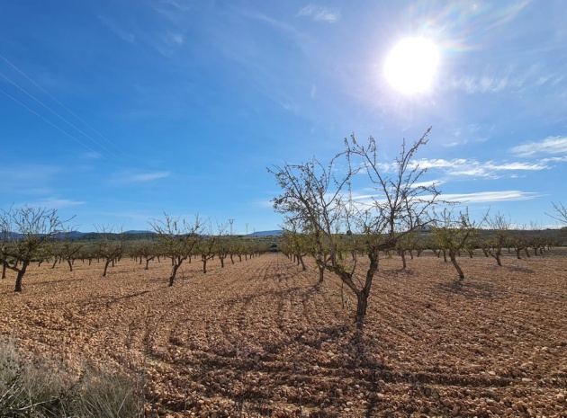 Land - Wiederverkauf - Pinoso - Lel