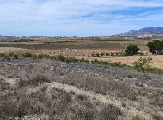 Land - Wiederverkauf - Pinoso - Pinoso Centro
