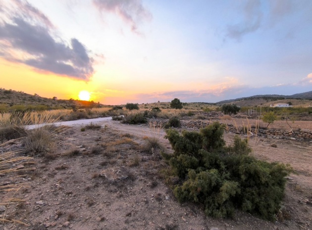 Land - Wiederverkauf - Pinoso - Pinoso Centro
